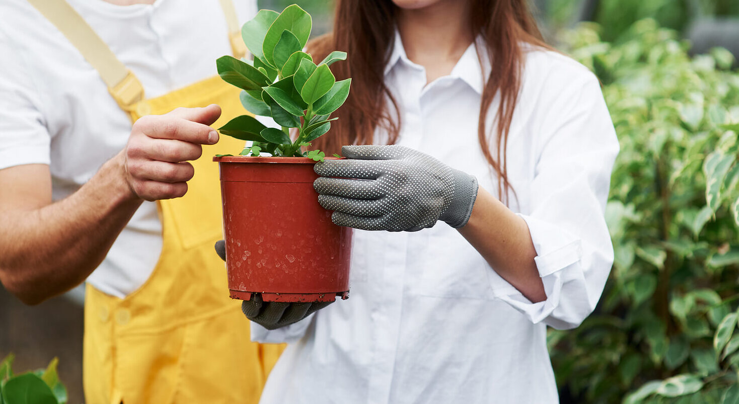 A couple looking at a green plant in an orange pot outside. If your attachment style is affecting your relationship, adult counseling in Katy, TX can help. Learn more here!